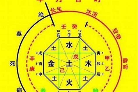 忌神 土|八字入门基础 第六篇 如何判断八字喜用神